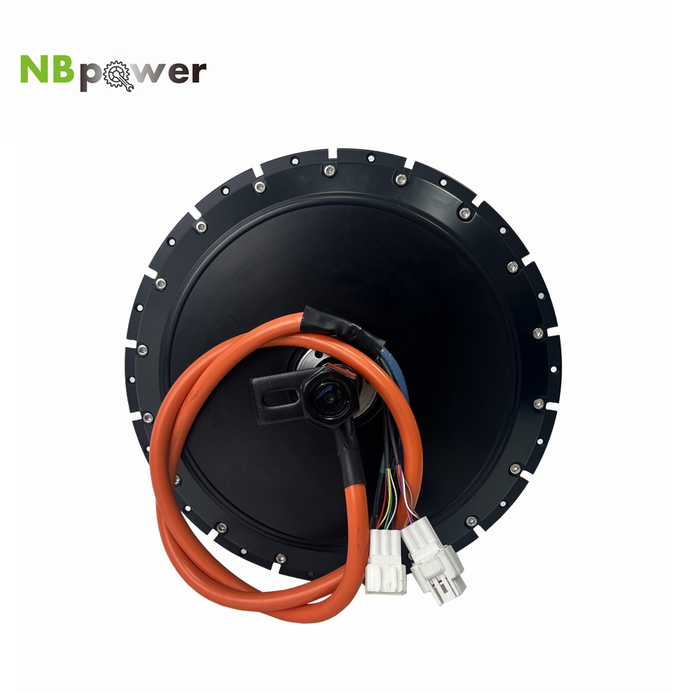 Qs Motor 273 8000W Hub Motor - Motor de buje trasero para bicicleta