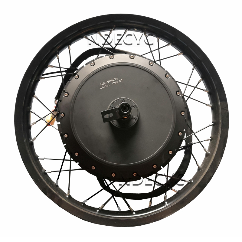 NBpower/QS V3 273 40H motocicl - Qs Motor 273 8000W Hub Motor reseña y precio