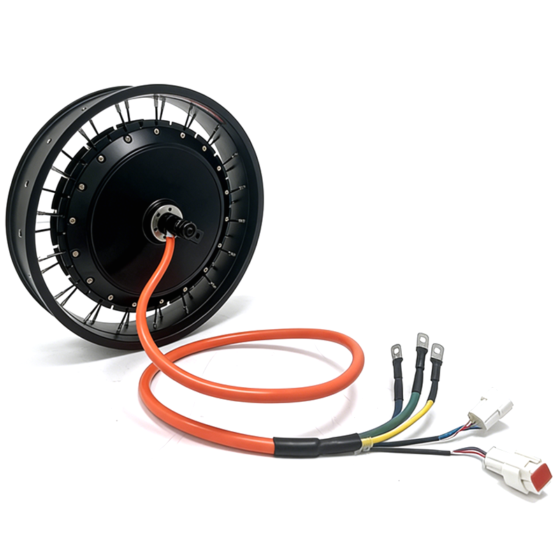 NBpower/QS 273 40H 48-96v nomi - Qs Motor 273 8000W Hub Motor reseña y precio